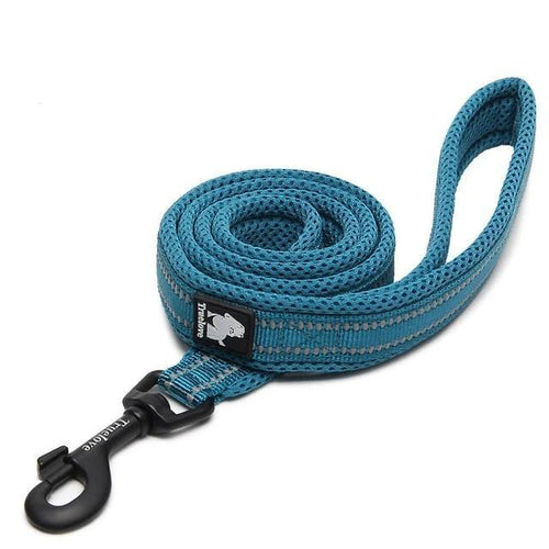 blue padded mesh dog leash